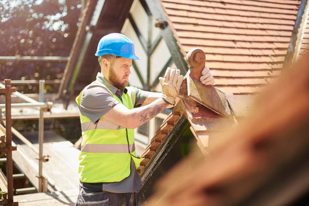 Best Roof Gutter Cleaning  in Hartsville, SC